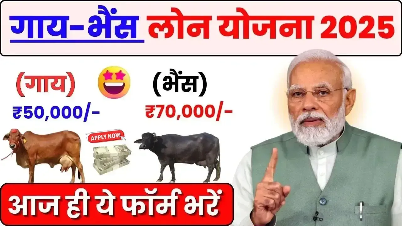 NABARD से गाय-भैंस लोन कैसे लें? | How to take Cow-Buffalo Loan from NABARD?