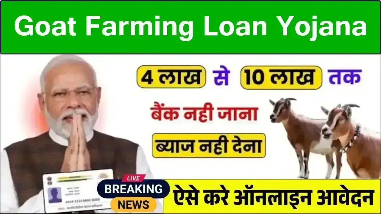 Goat Farming Loan Yojana 2025 – बकरी पालन के लिए पाएं 10 लाख रूपये तक का लोन, ऐसे करें अप्लाई