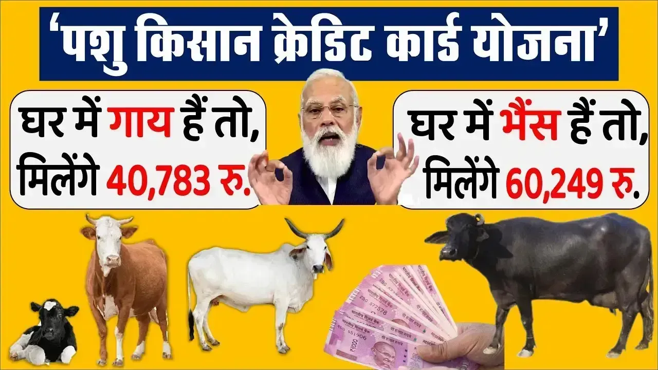 पशु किसान क्रेडिट कार्ड के तहत पशुपालकों को मिलेंगे 3 लाख रु. तक लोन – देखें पूरी प्रक्रिया