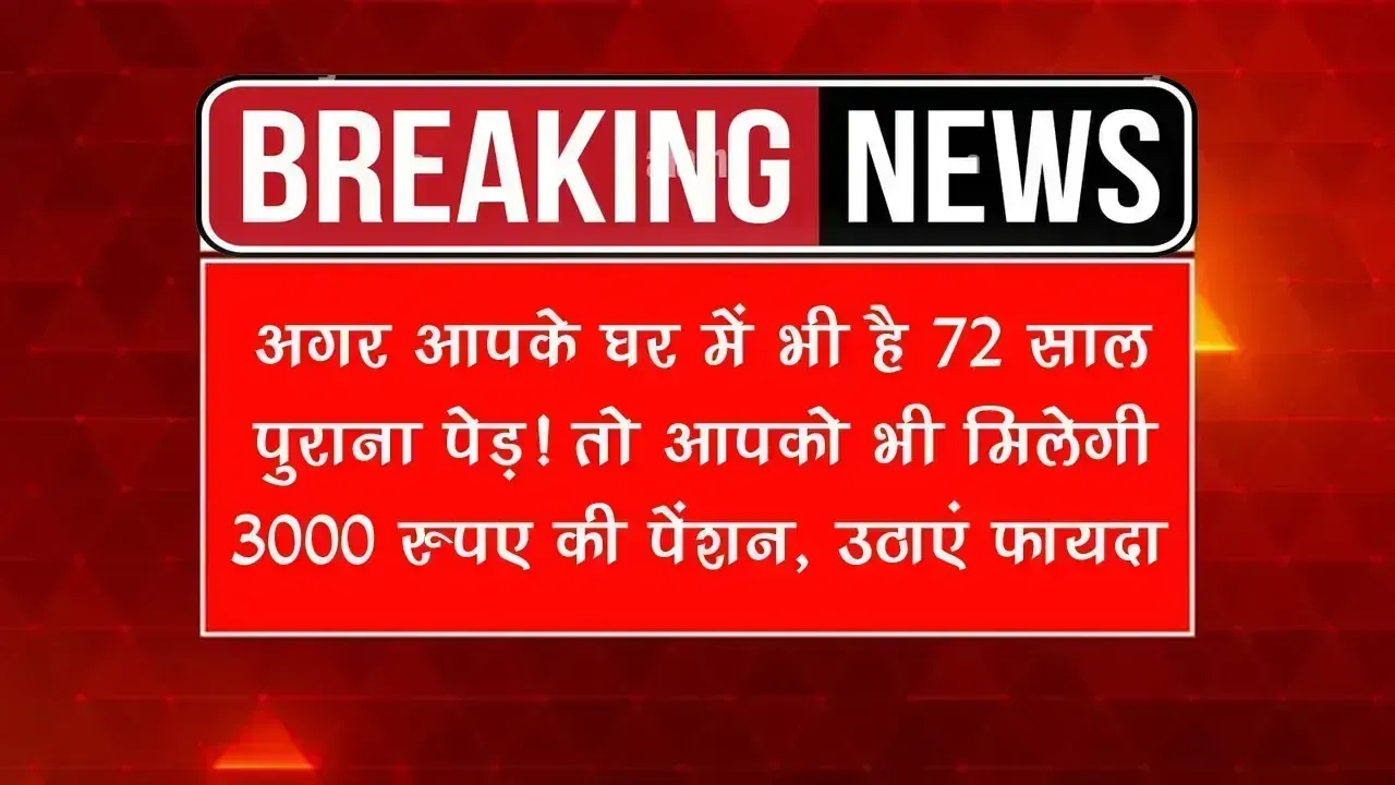 Prana Vayu Devta Pension: अगर आपके घर में भी है 72 साल पुराना पेड़! तो आपको भी मिलेगी इतने रुपए, जानें कैसे उठाएं फायदा